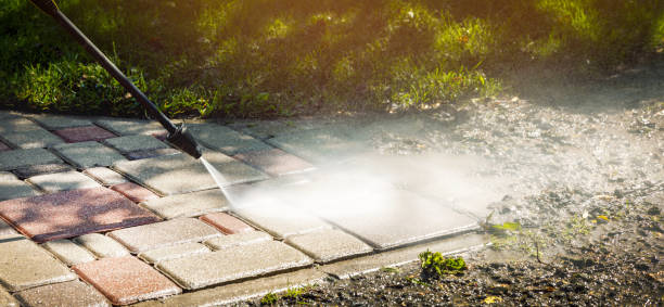Best Fence Cleaning and Maintenance in Venice, IL